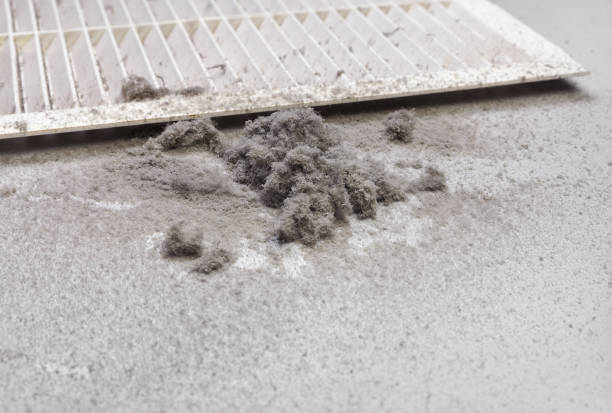 Best Affordable Duct Cleaning Services  in Johnston, SC