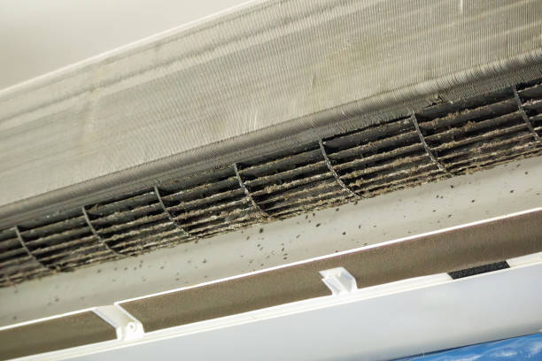 Best Affordable HVAC Duct Cleaning  in Johnston, SC